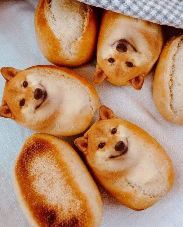Bread