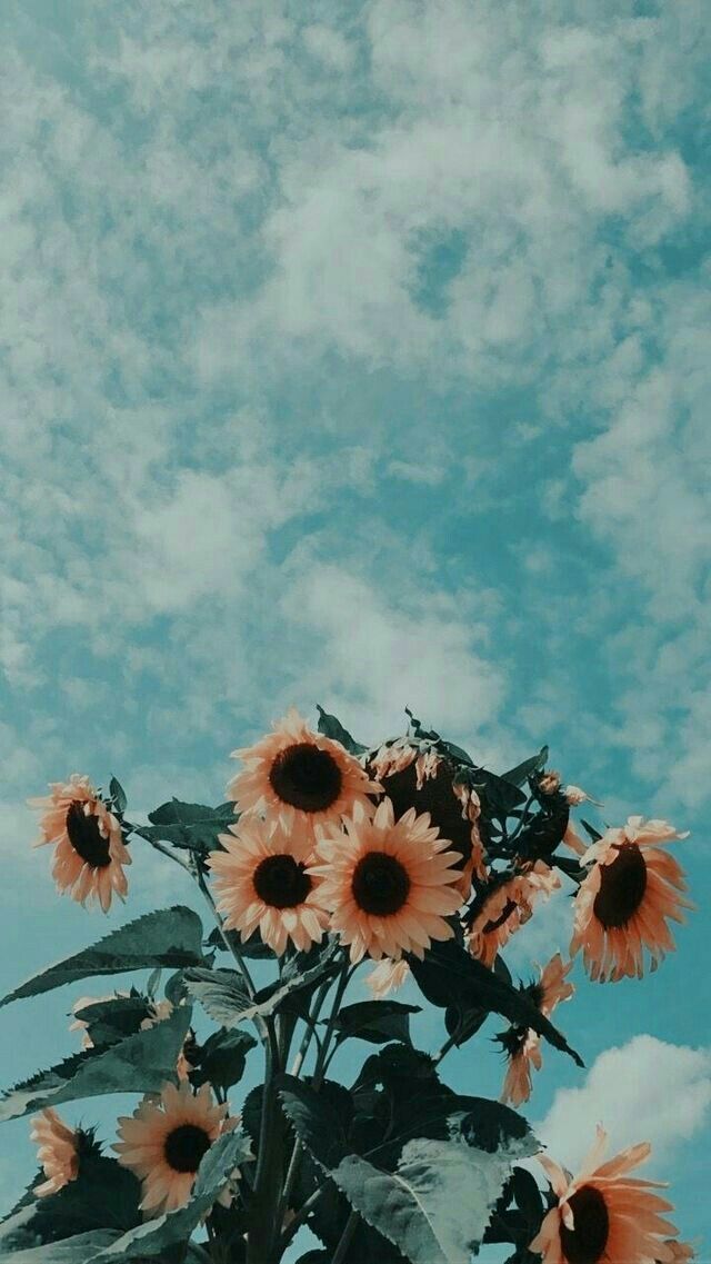 C.