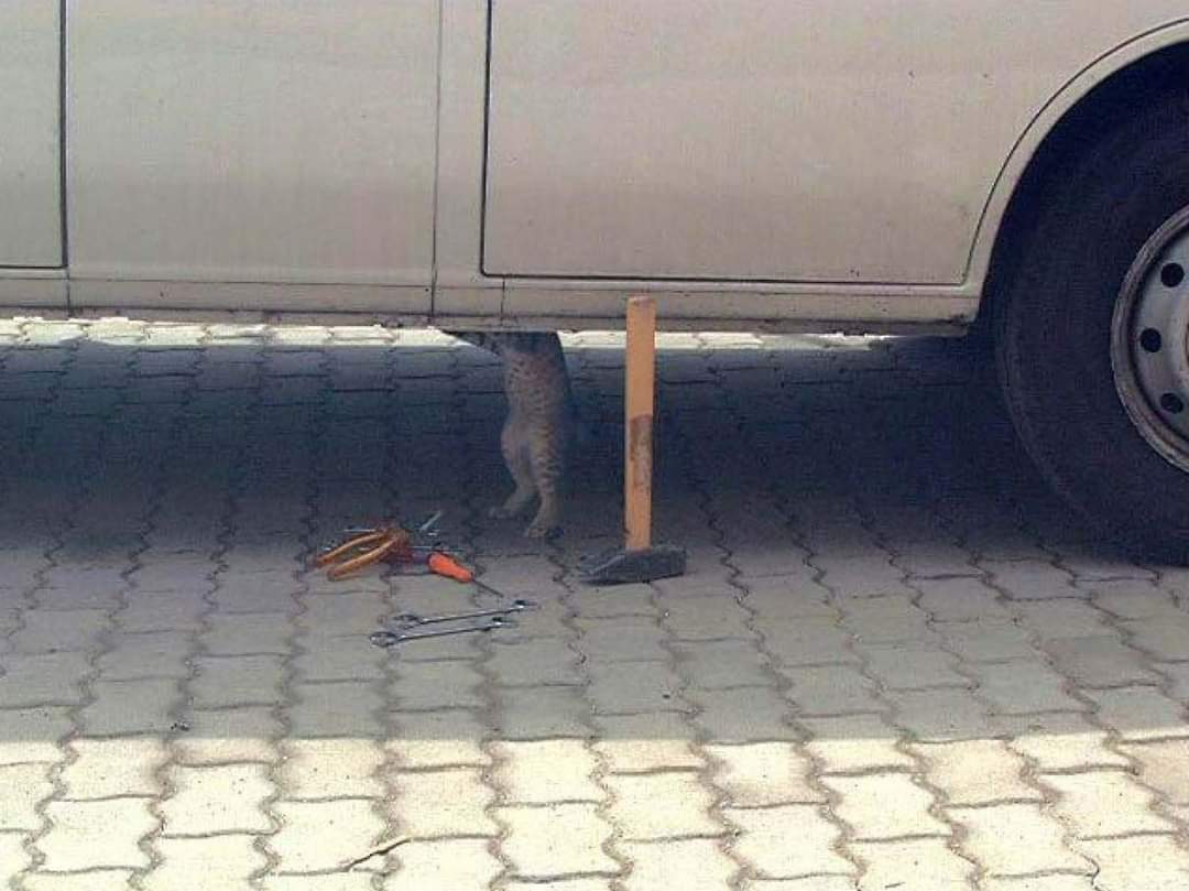 Gato mecánico