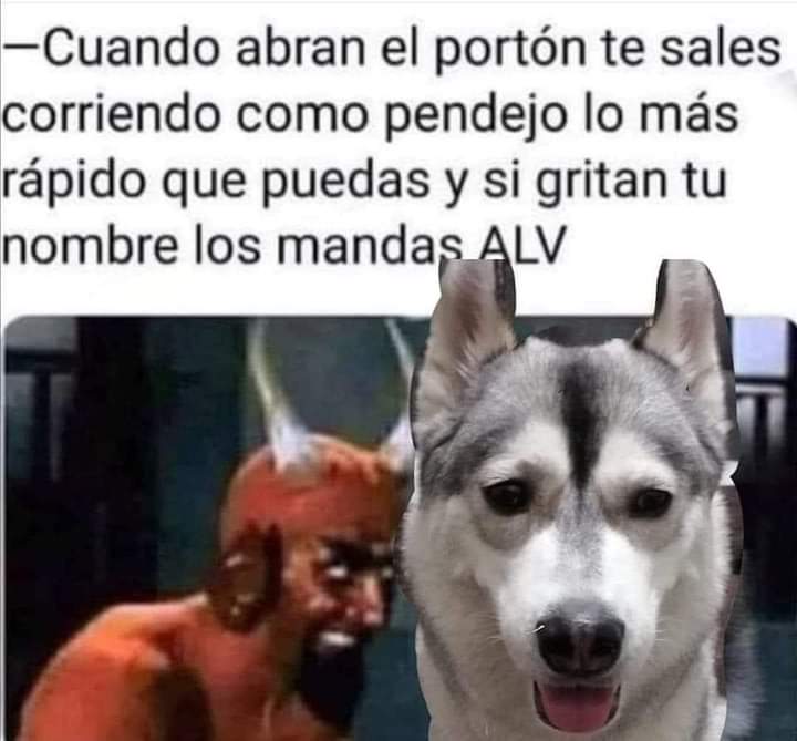 Cuando