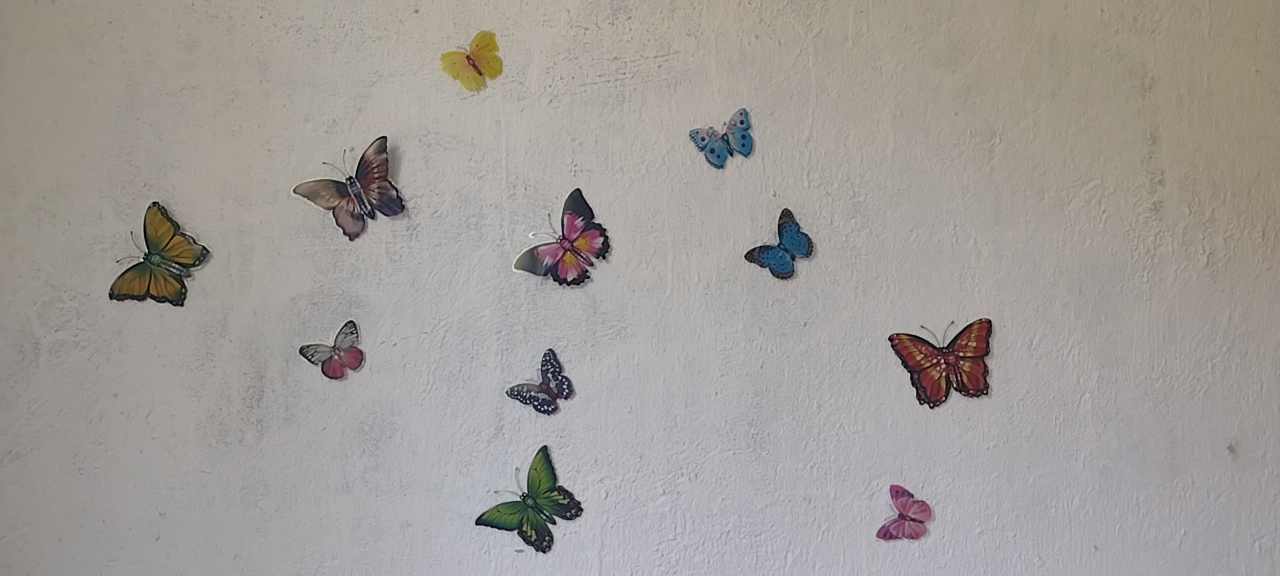 Mariposas de adorno