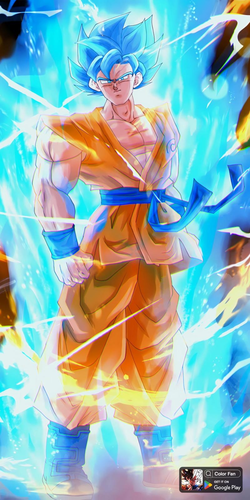 DRAGON BALL Z