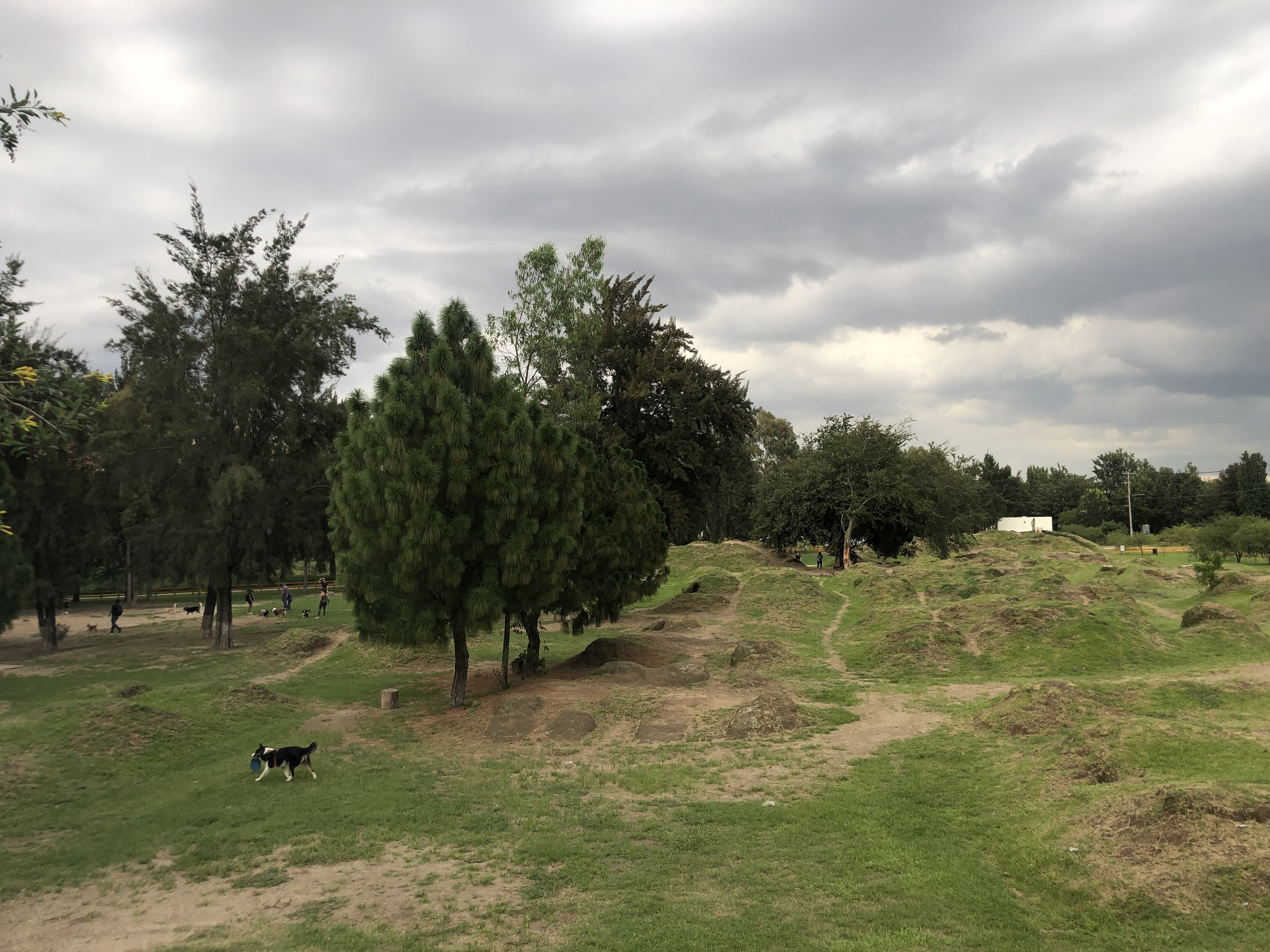 Park