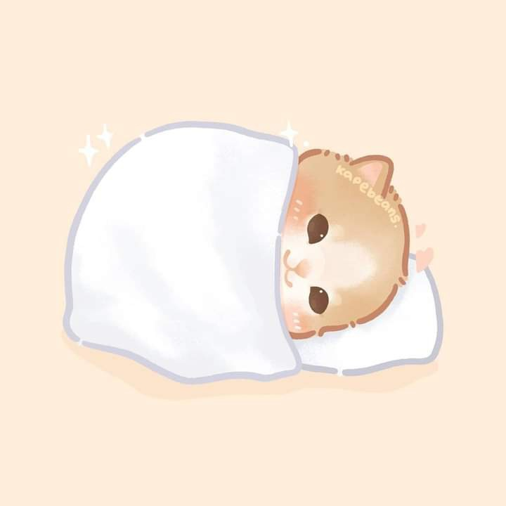 Bedtime kitty
