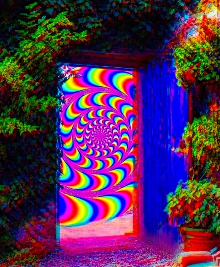 Puerta dimensional