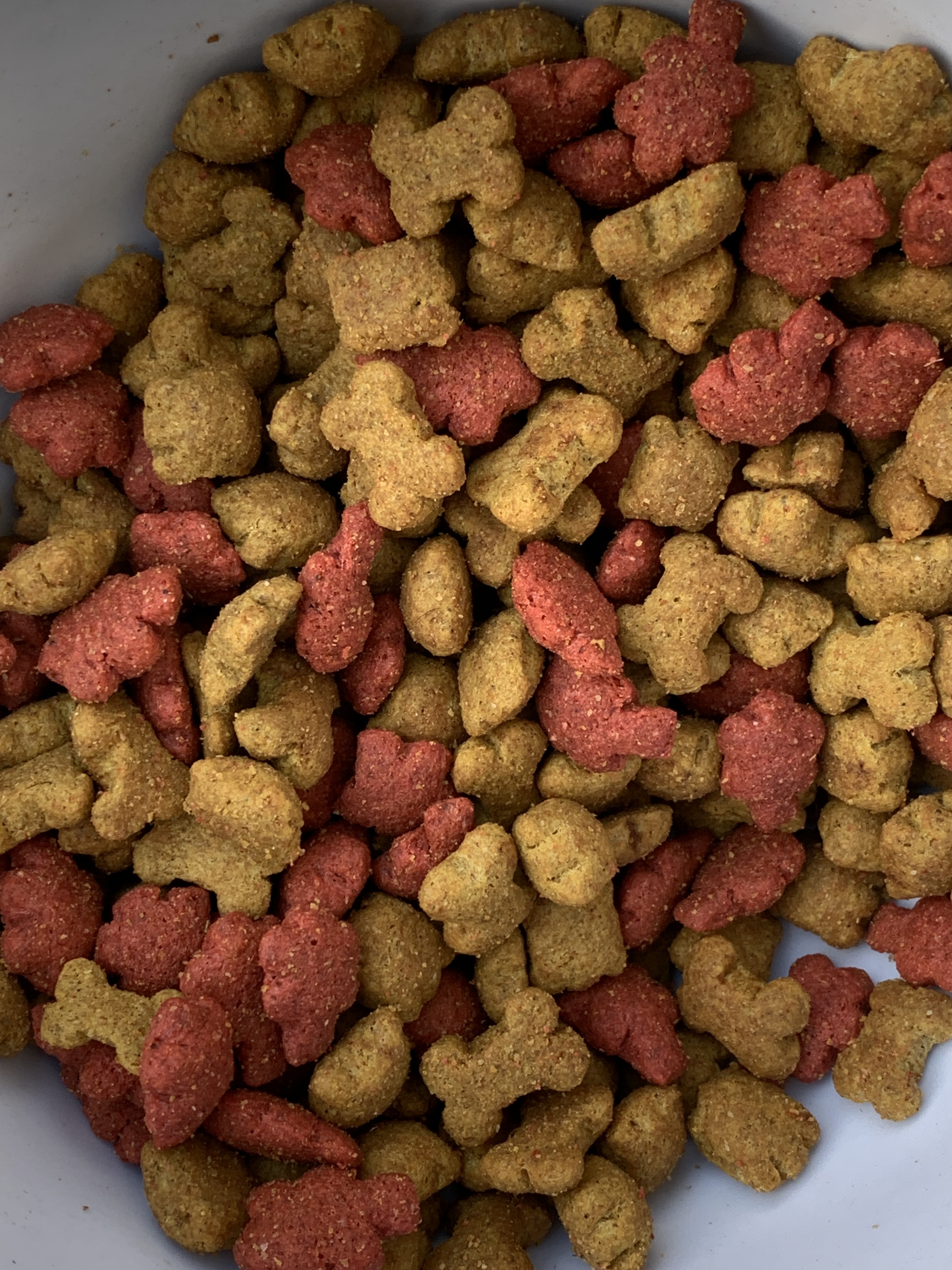 Dog food