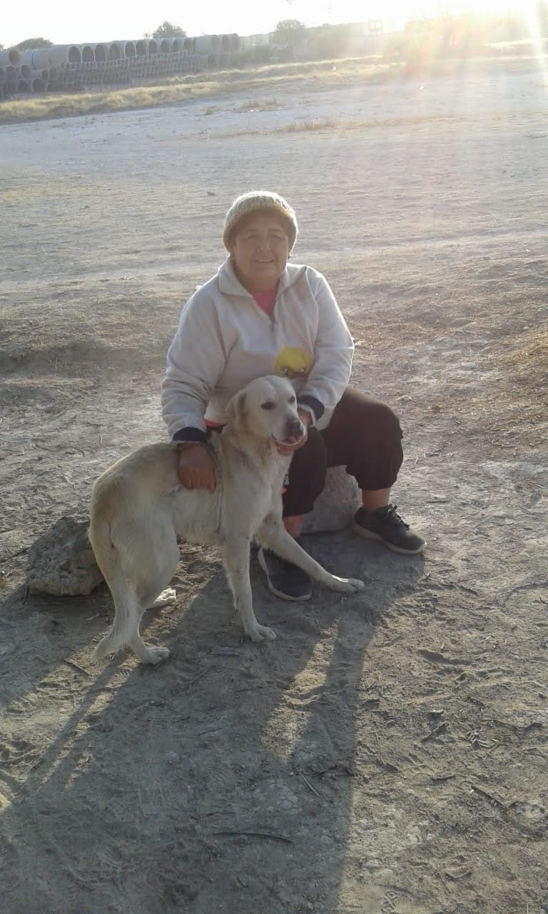 Paseando con el palomillo