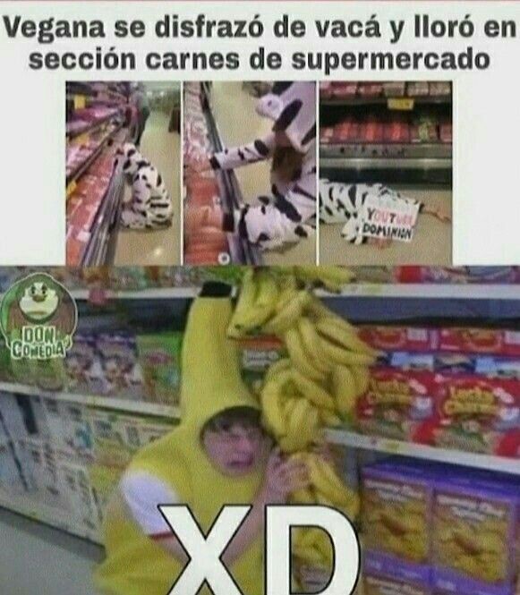 Memes perrones 2