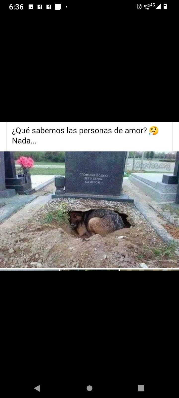 Que sabemos nosotros