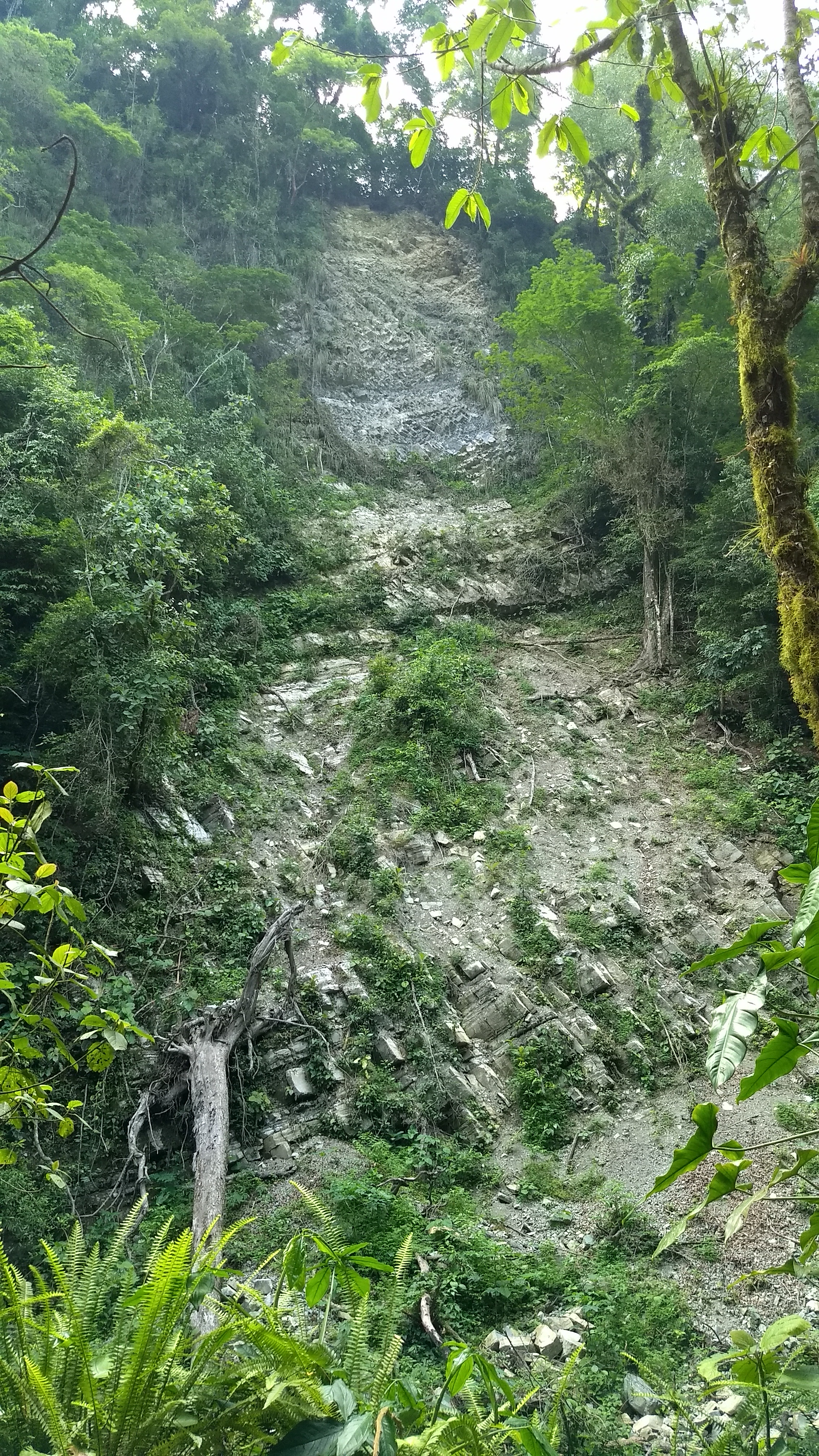 caminos