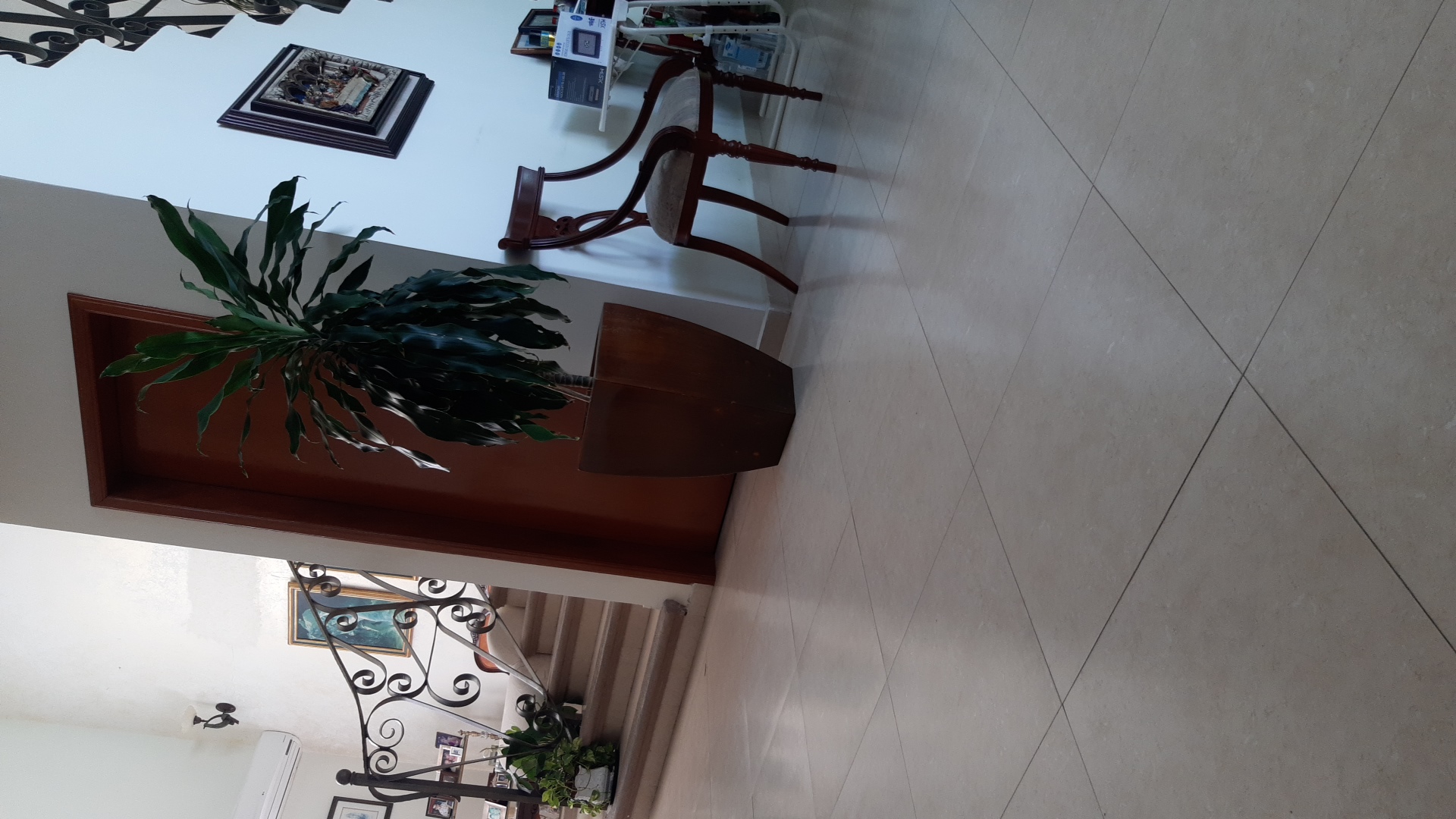 Planta
