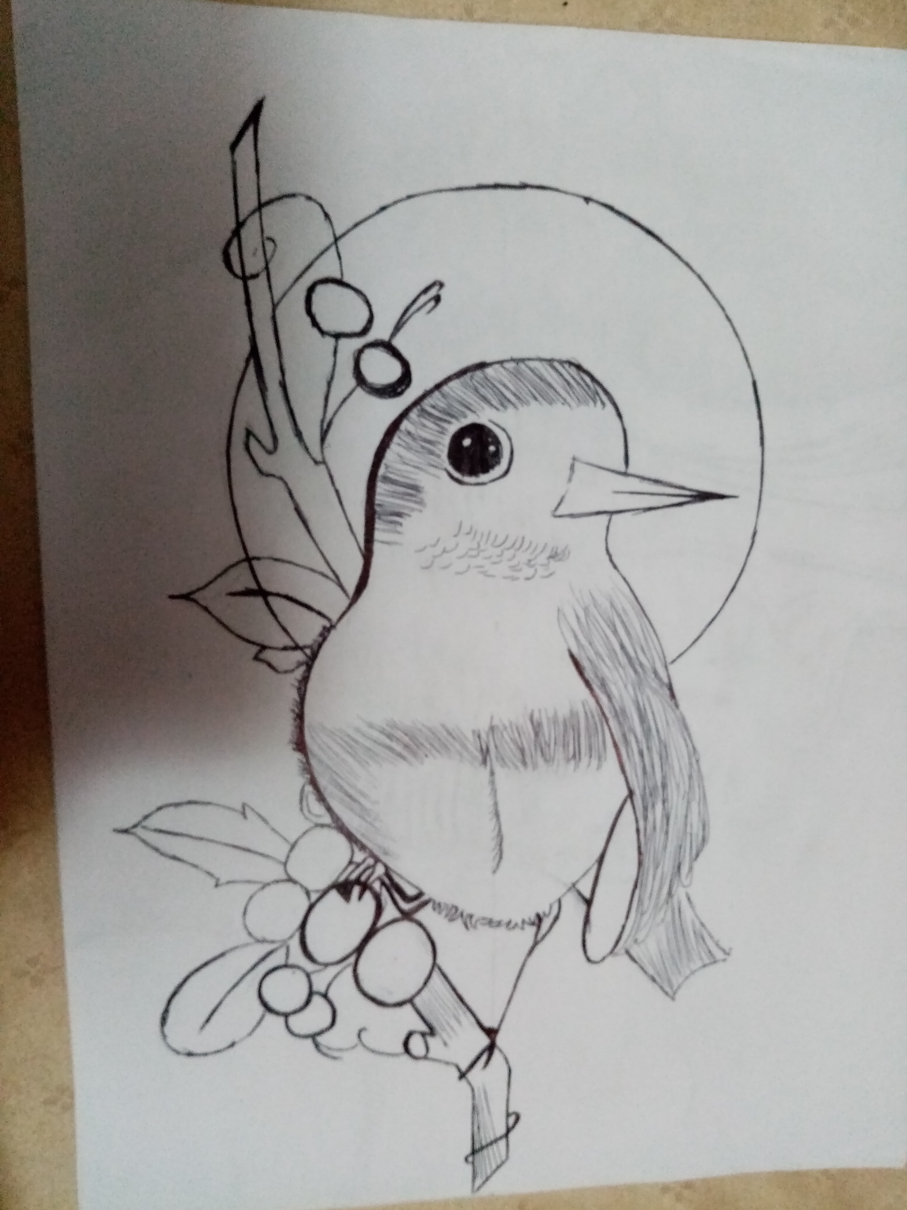Bird