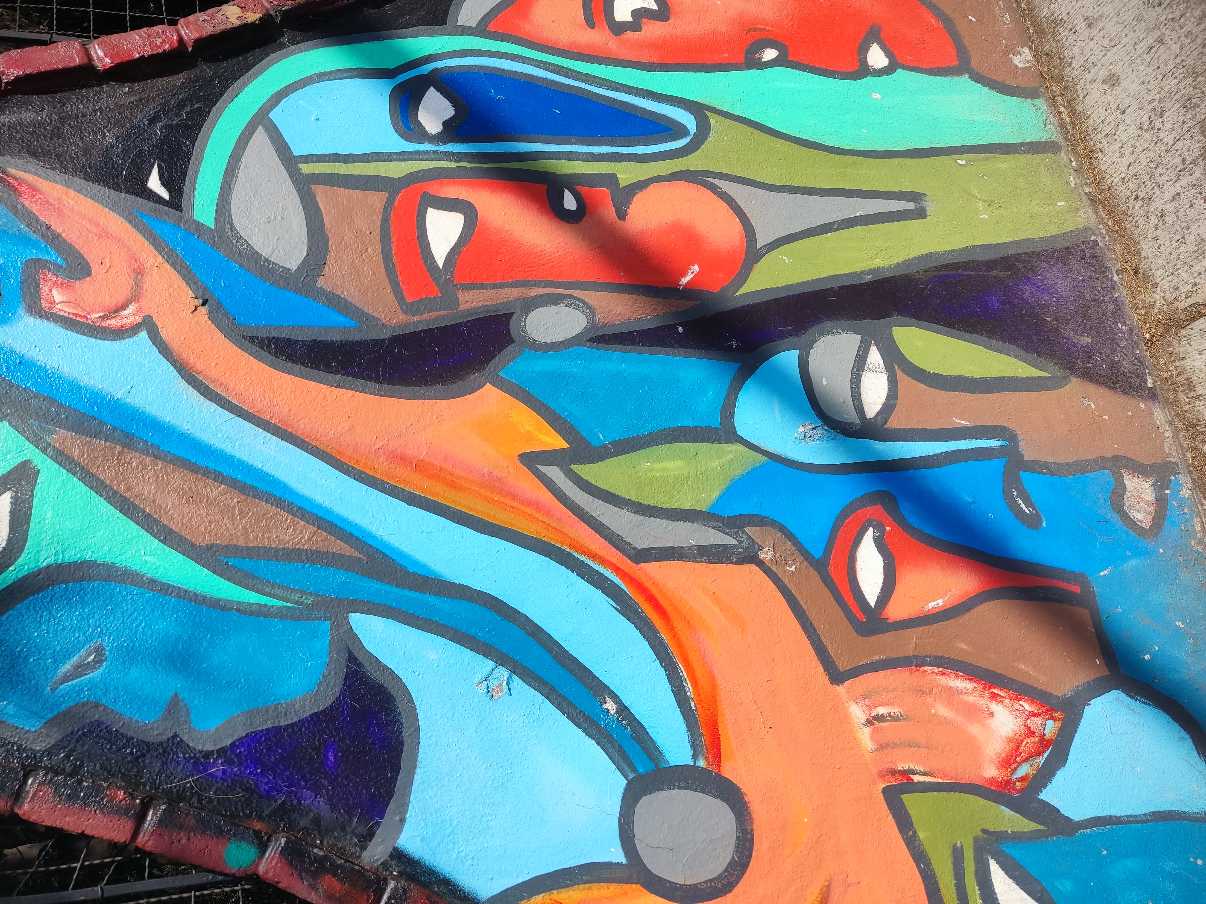 Grafiti caras