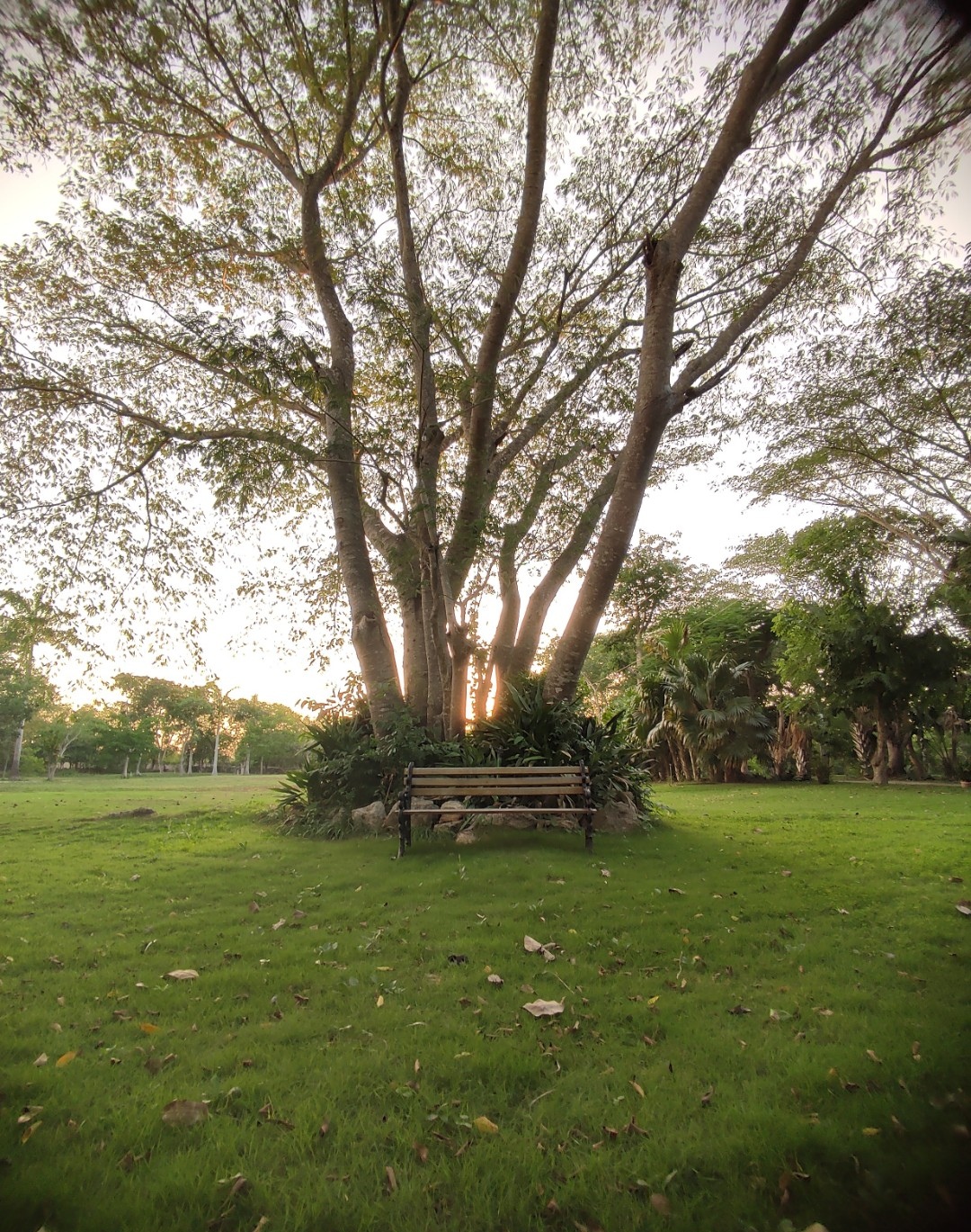 Un lugar tranquilizante.