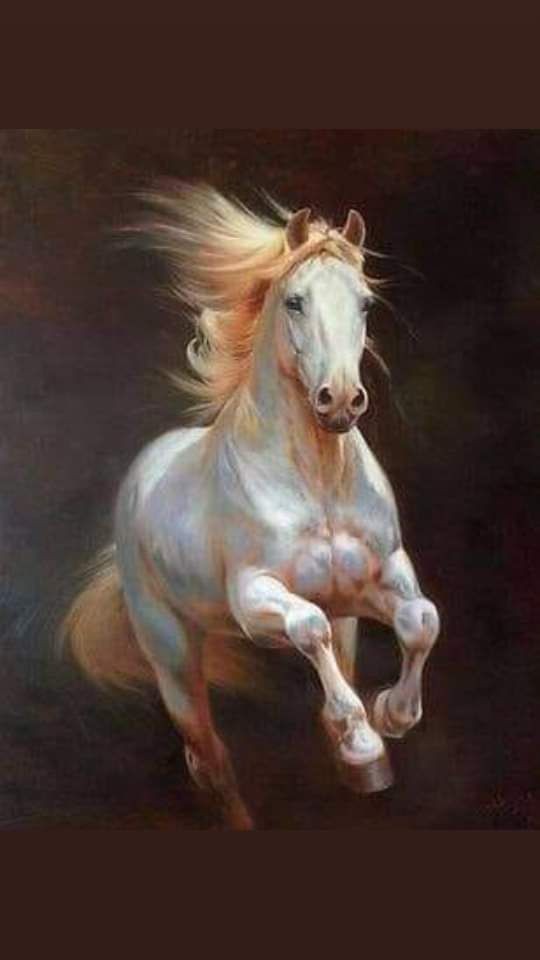 Caballo