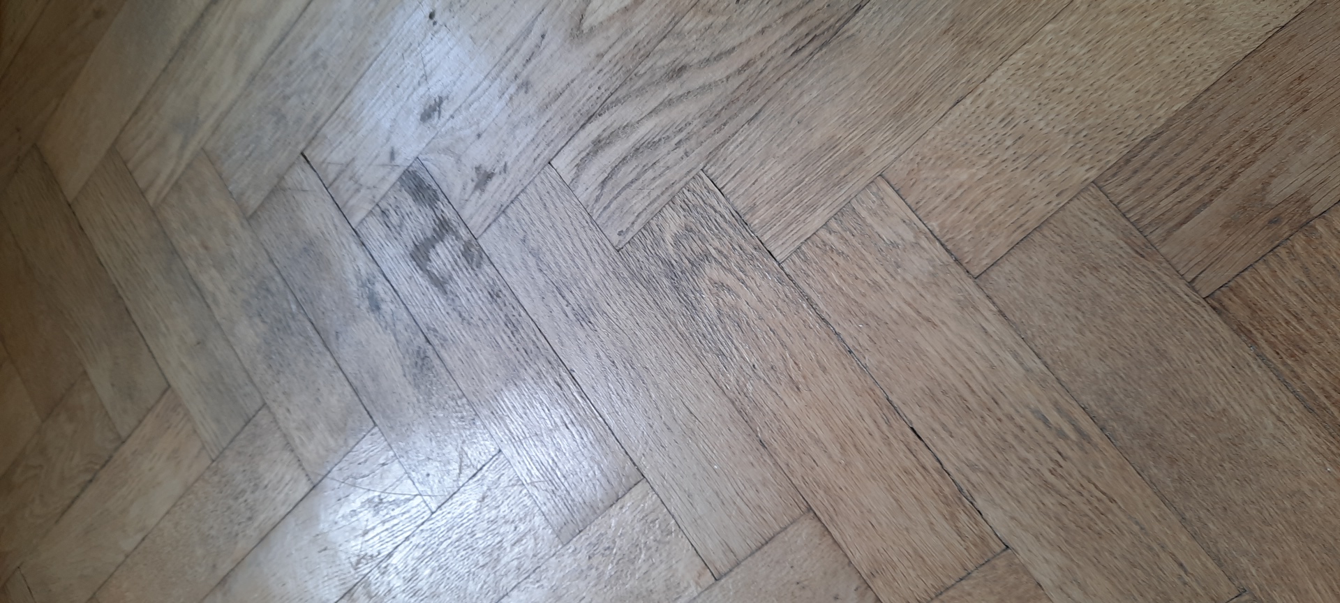 Floor
