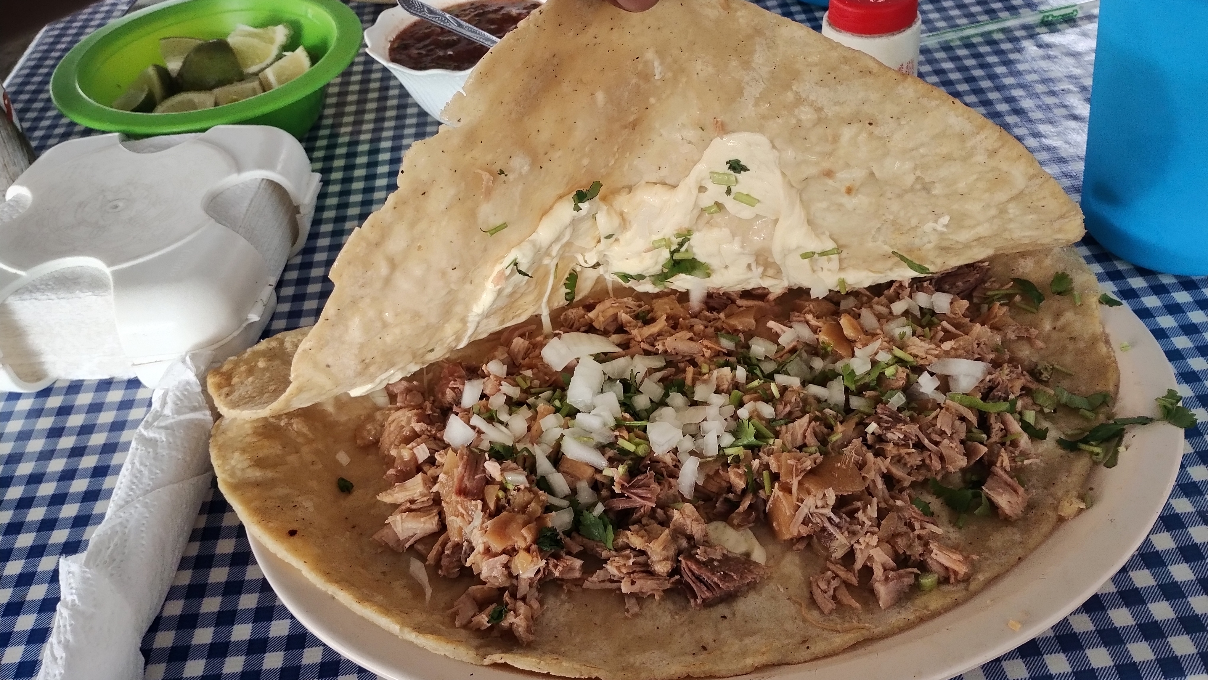 Un taquito para la dieta
