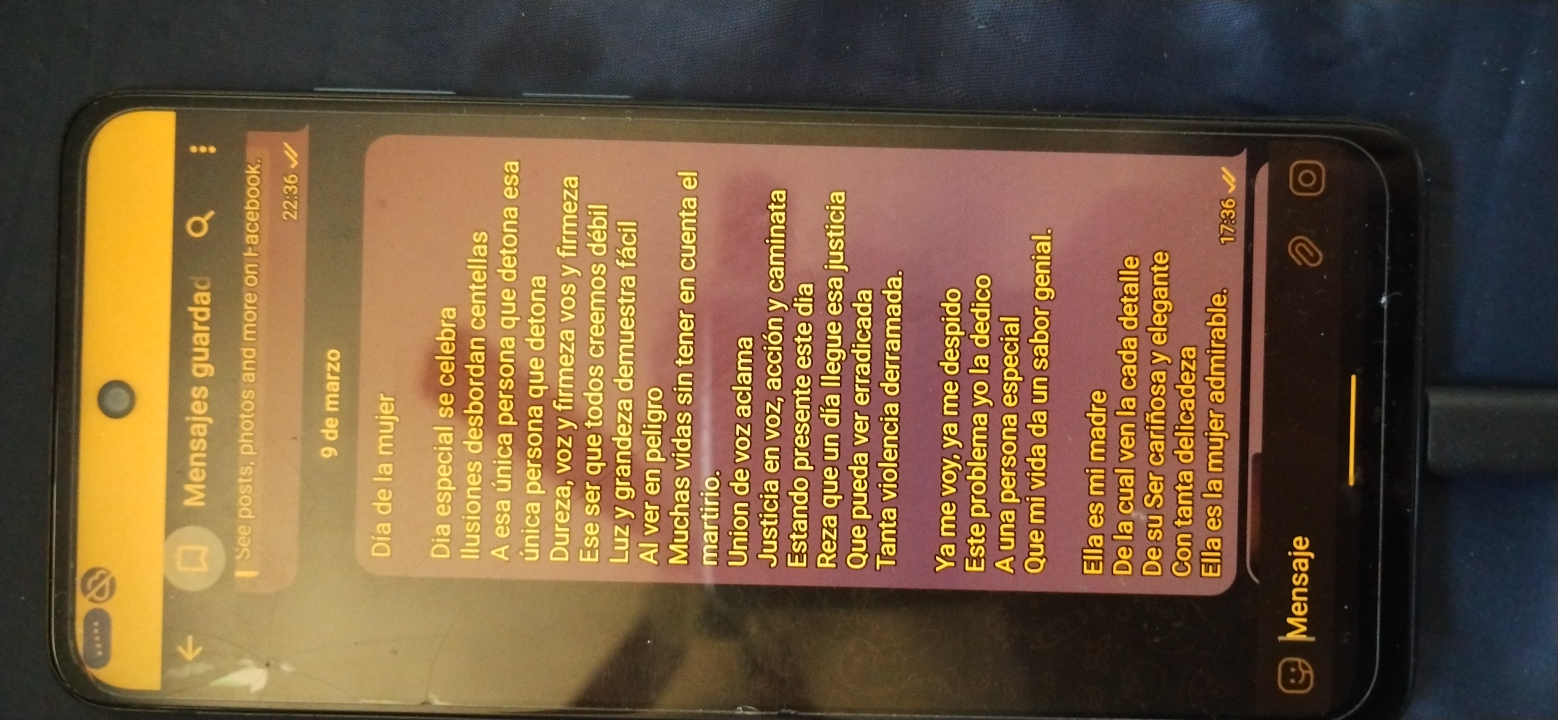 Poema día internacional de la mujer  2
