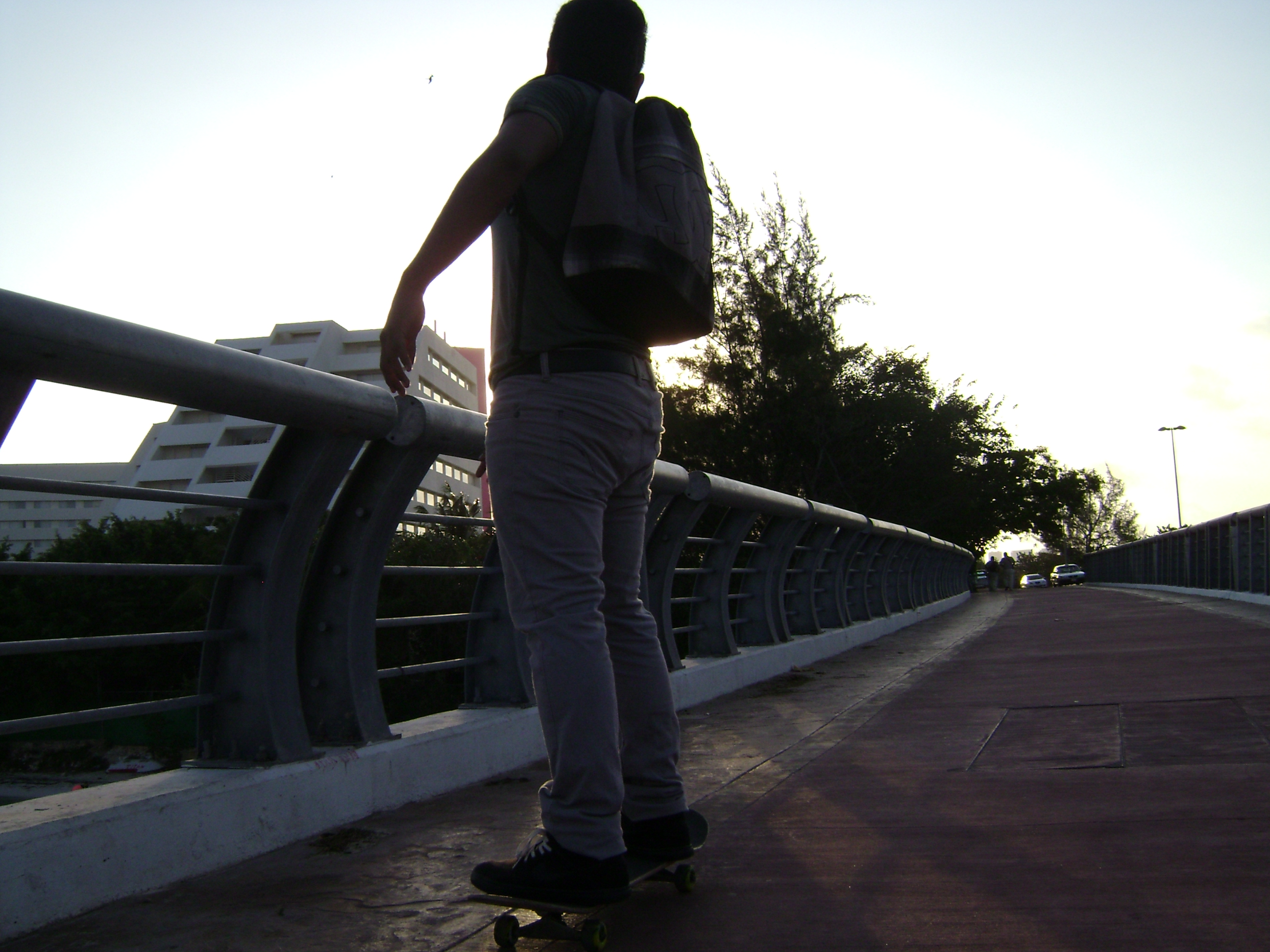 Skate