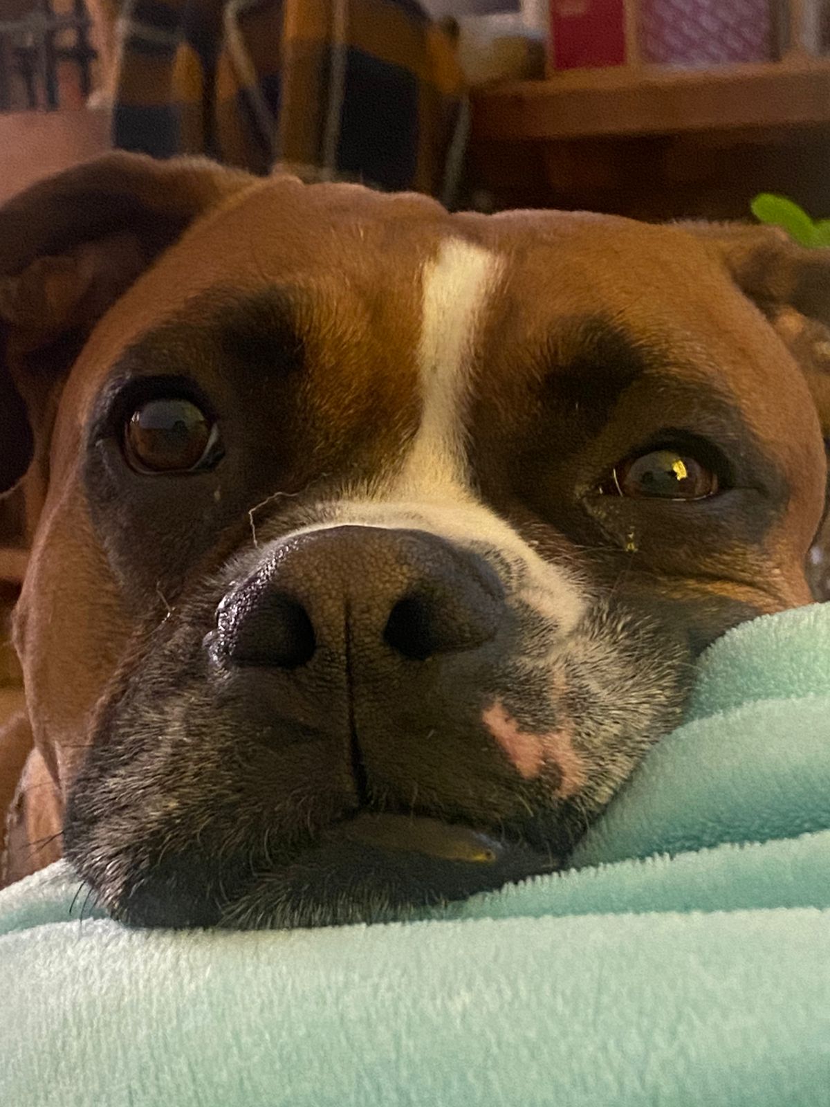 Max