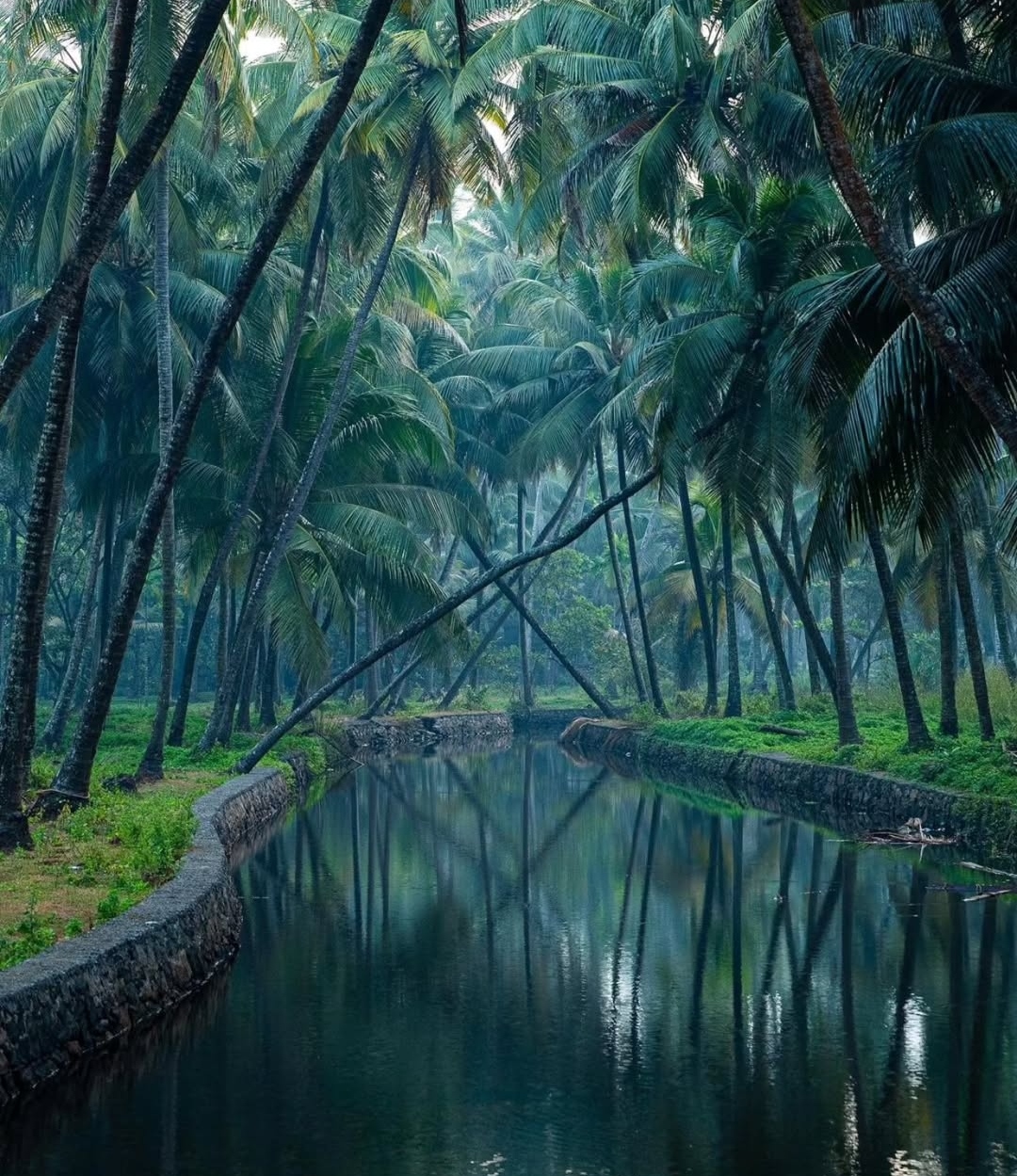 Kerala