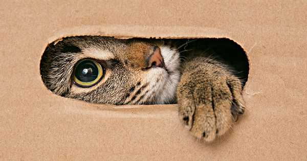 Deja mi caja, es mia