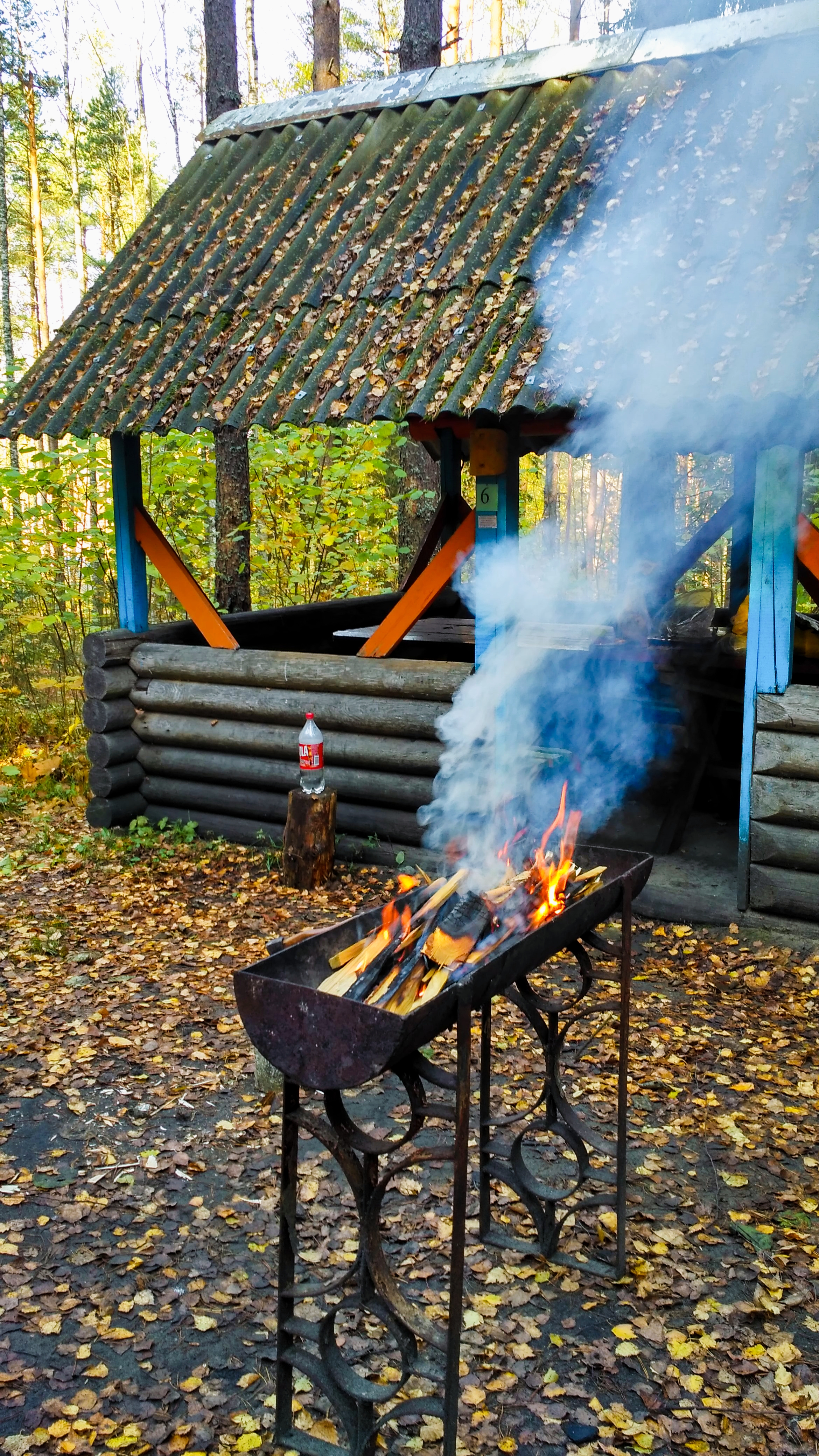 Cozy autumn picnic