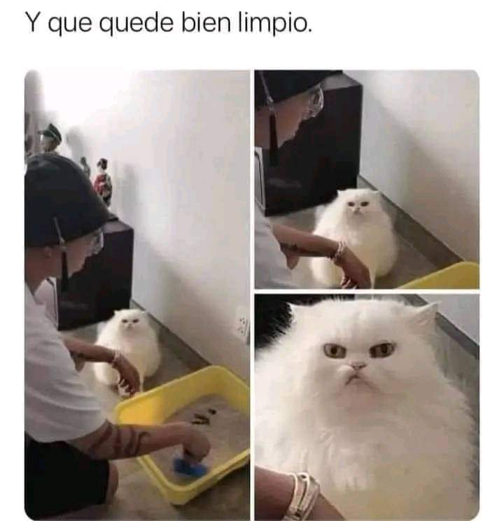 Esclavo humano
