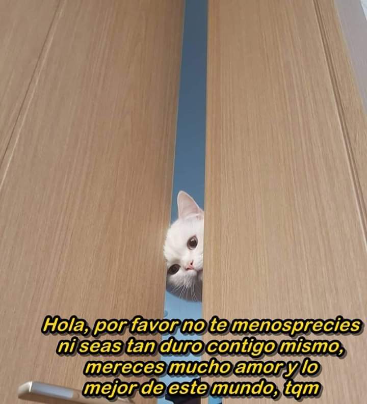 :3