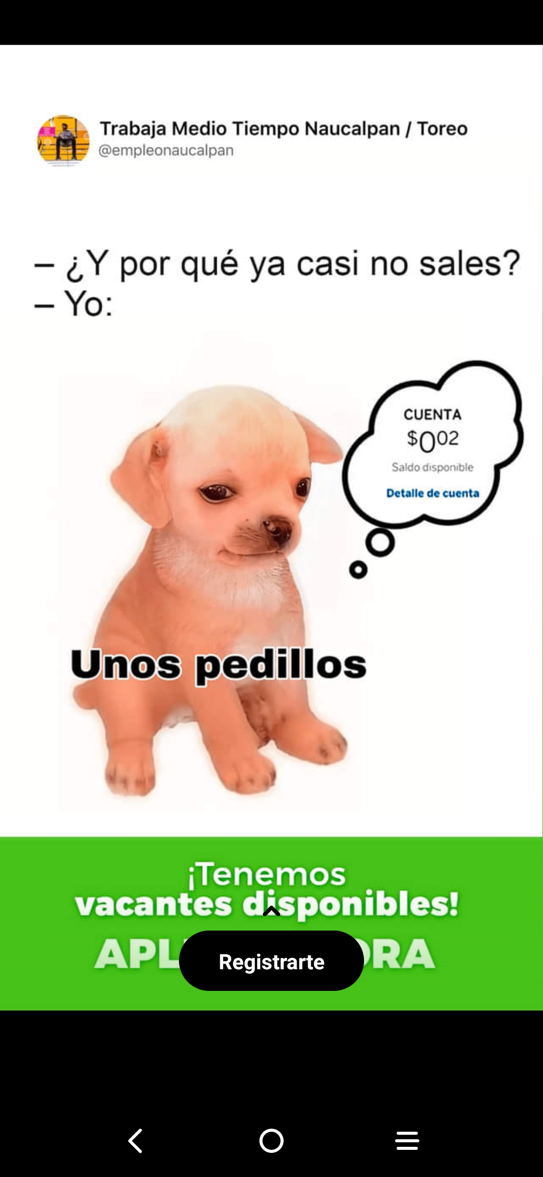 Perro