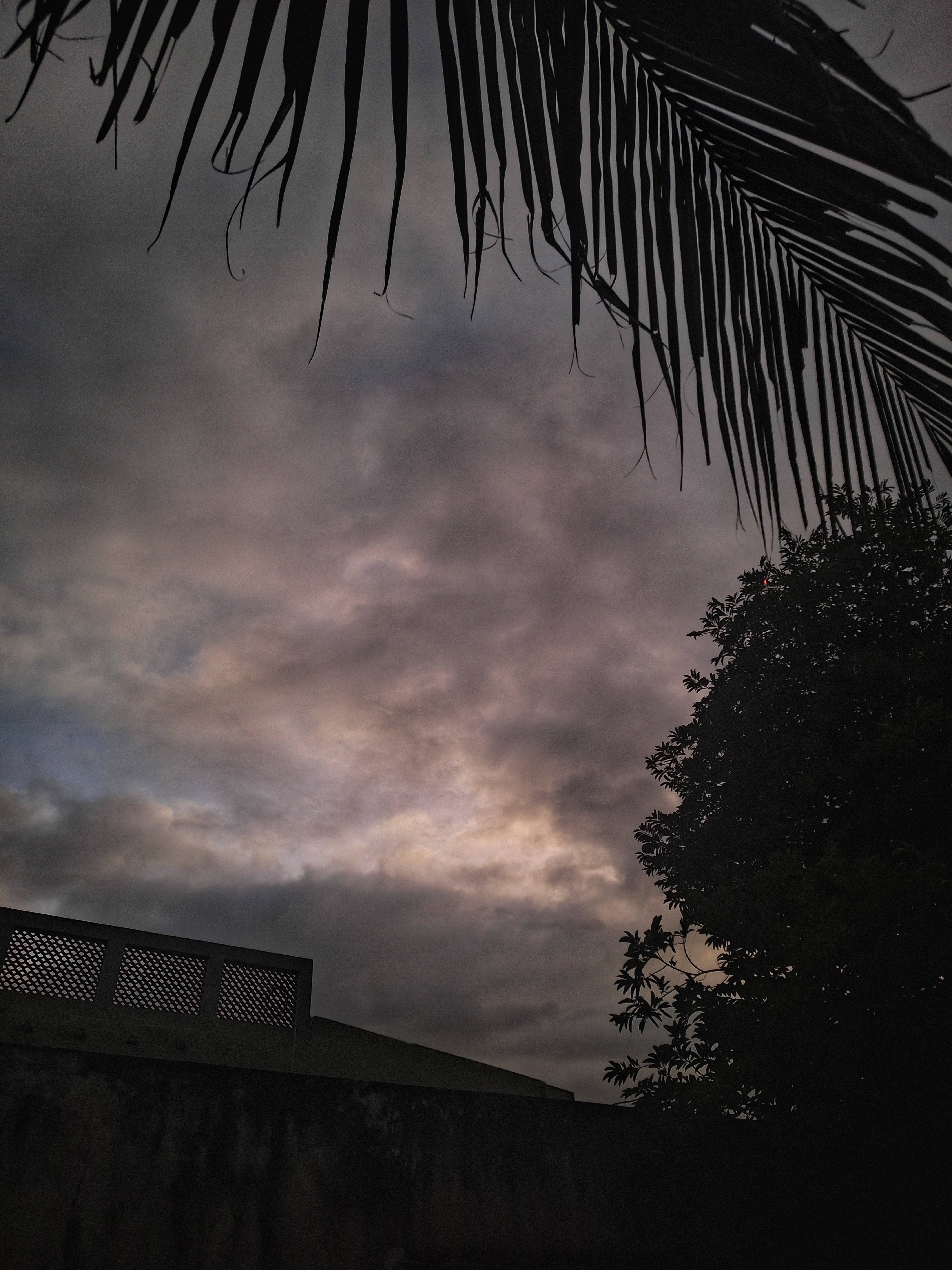 Rise and shine