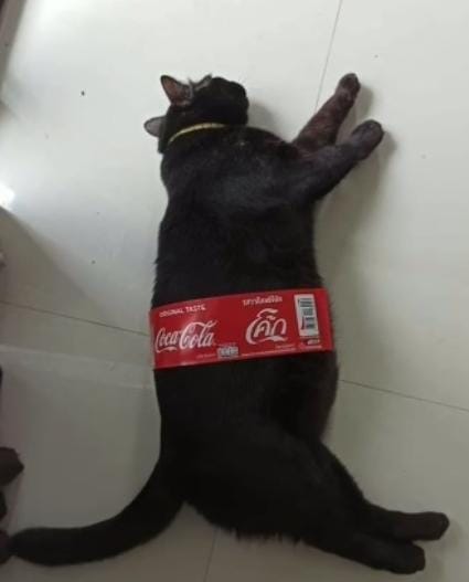 Meow