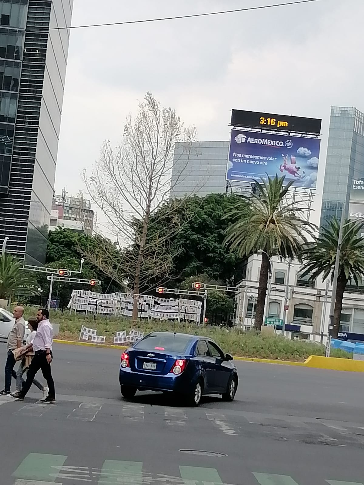 Ahuehuete de Reforma