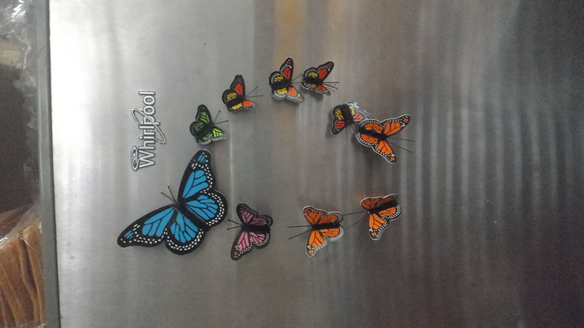 Buterfly
