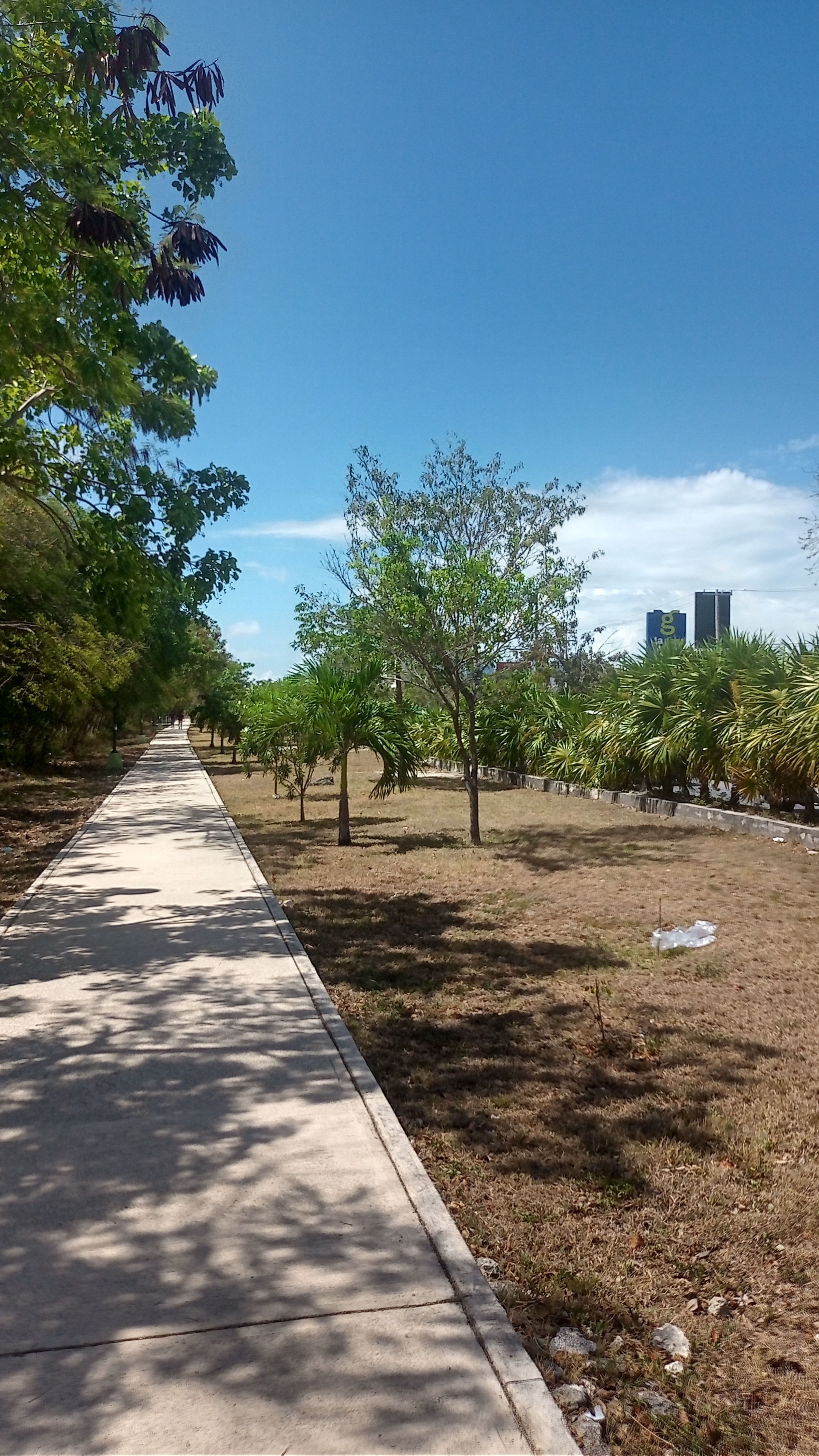 City Sidewalk - Cancun