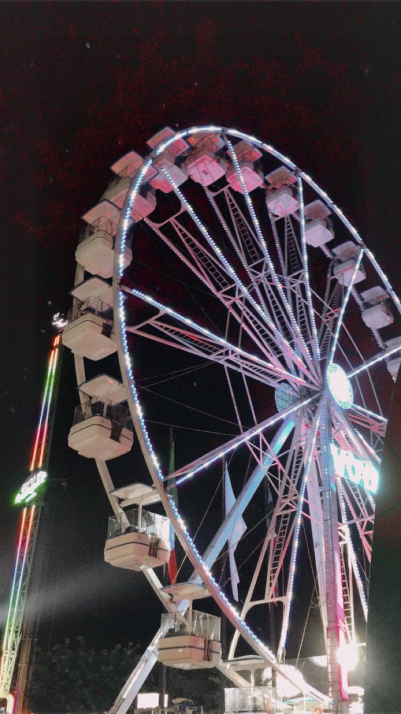 wheel kg fortune