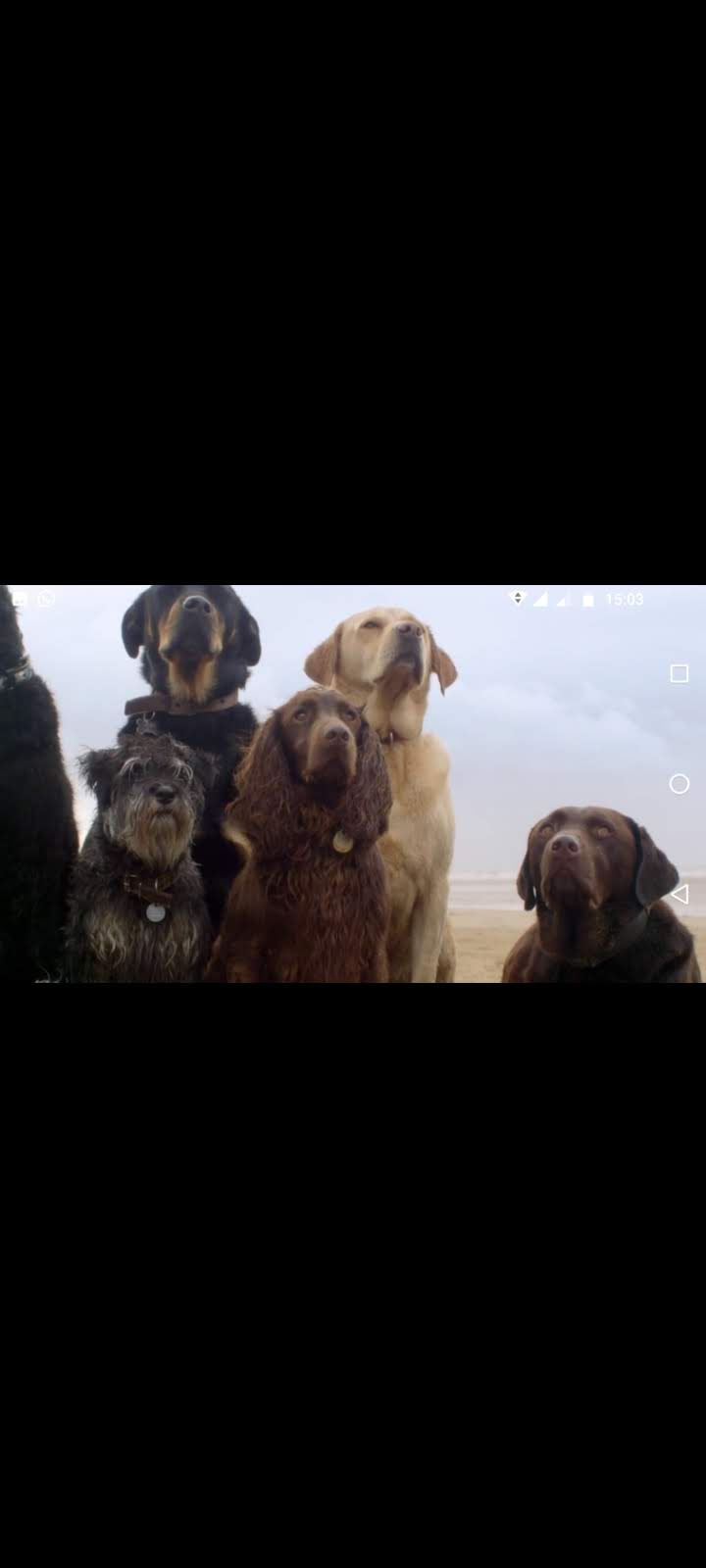 La banda