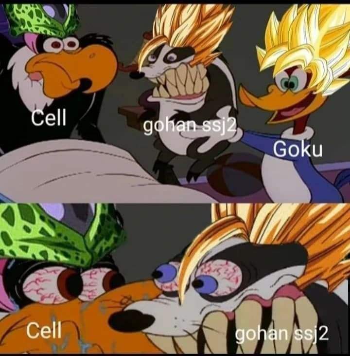 Celi