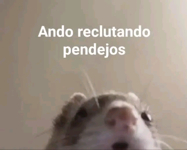 Ando reclutando pendejos xd