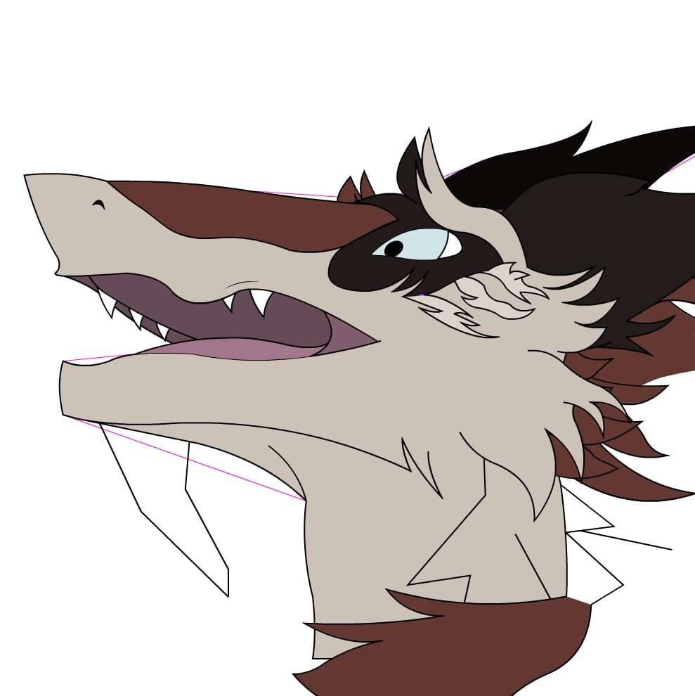 Cort incomplete Sergal