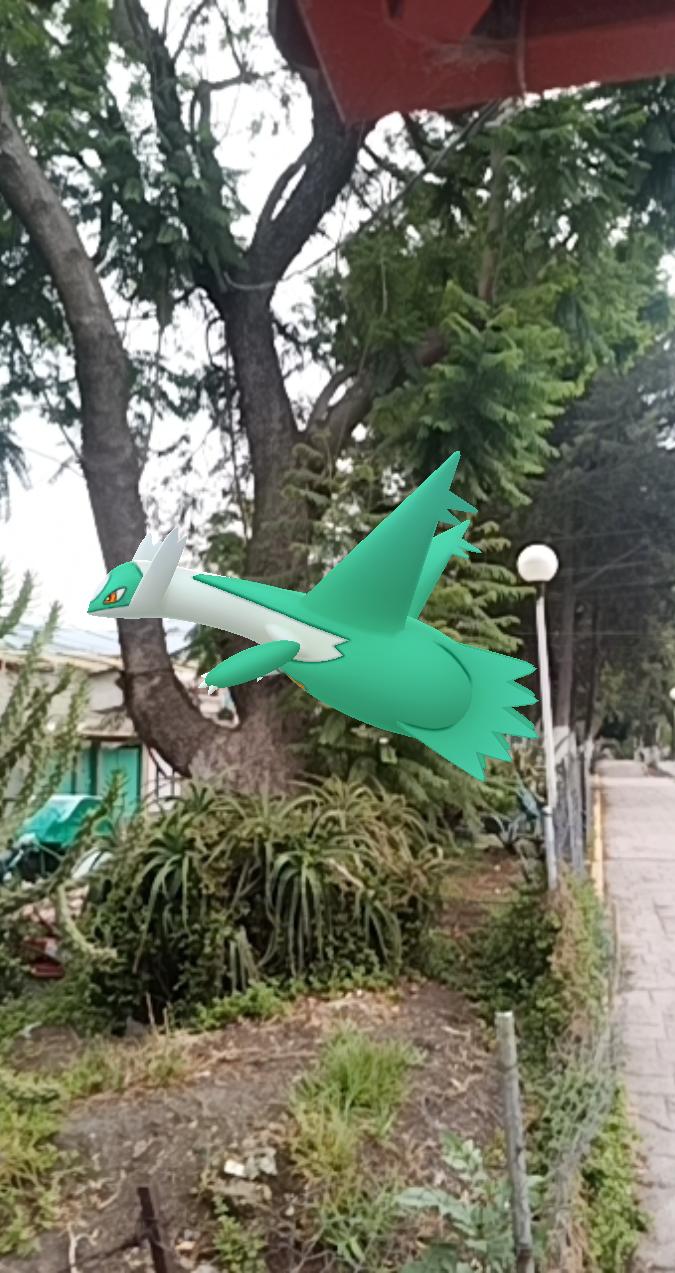 Latios al acecho
