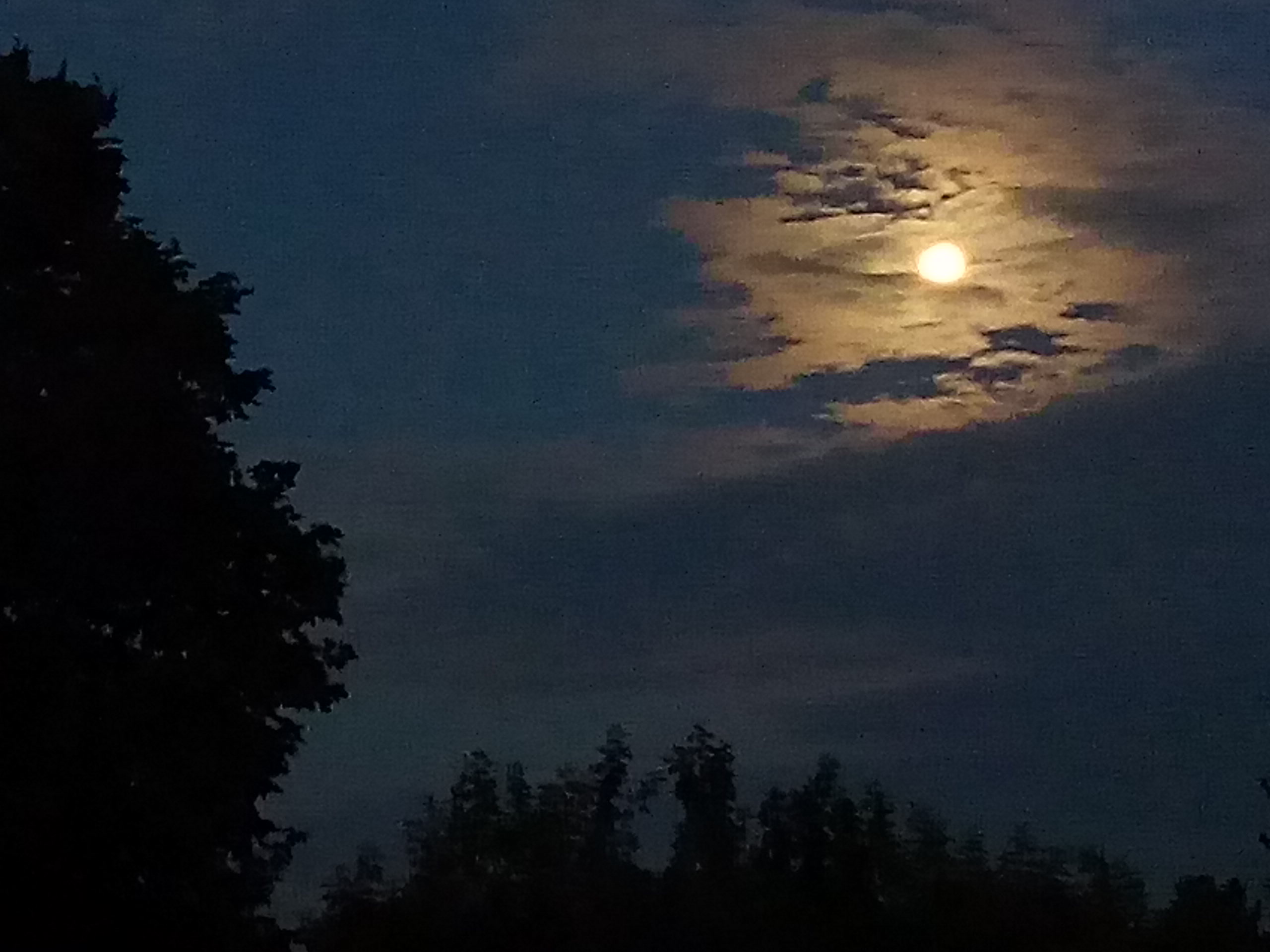 Summer moon