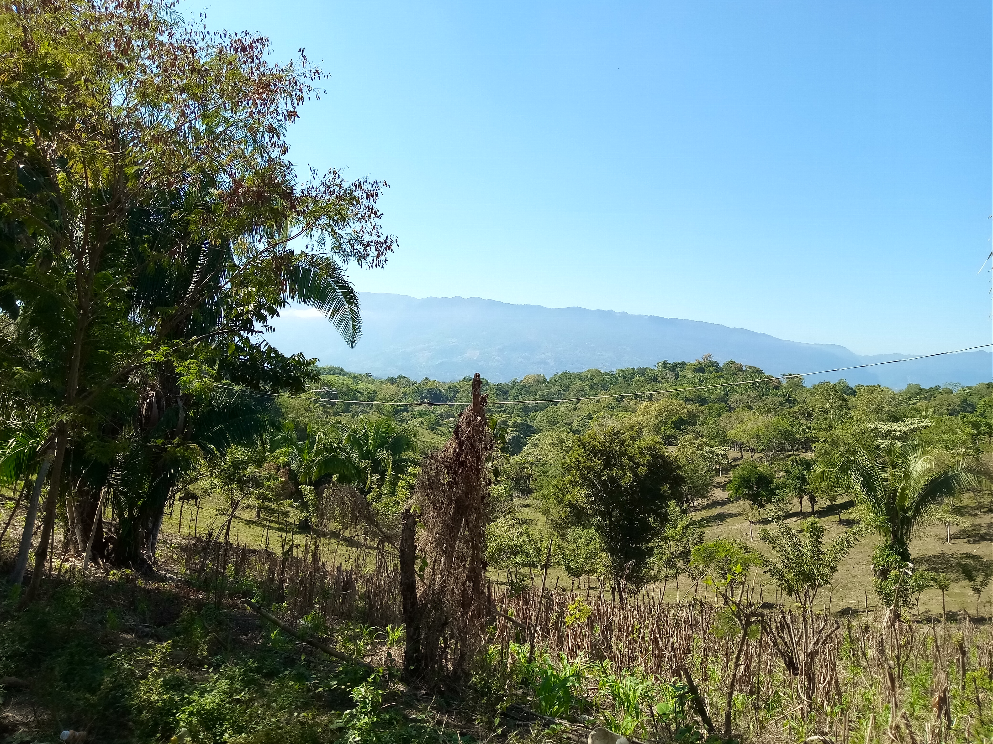 Perdido en las maravillas