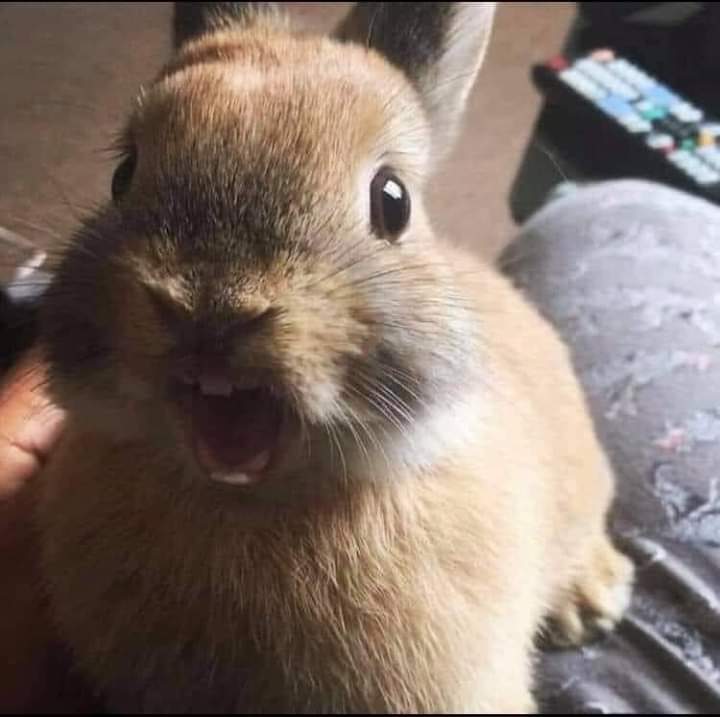 O:
