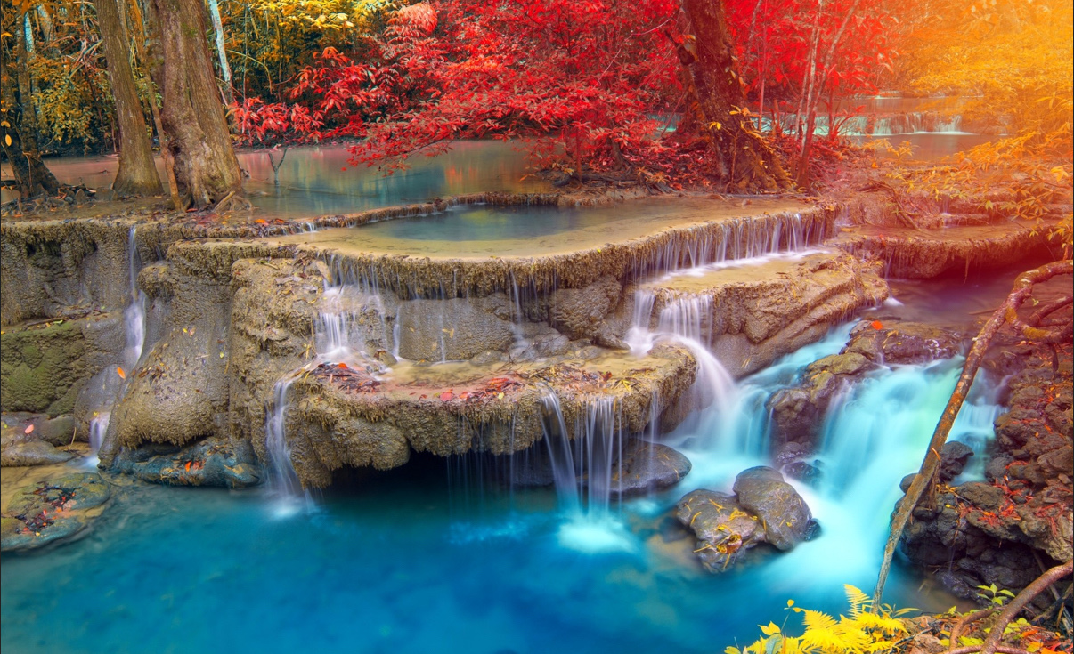 wonderful E