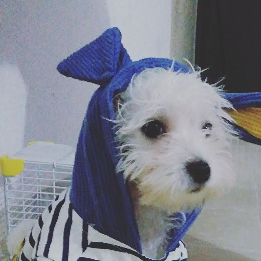 Una Ducha y a Dormir