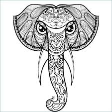 Elefante 2