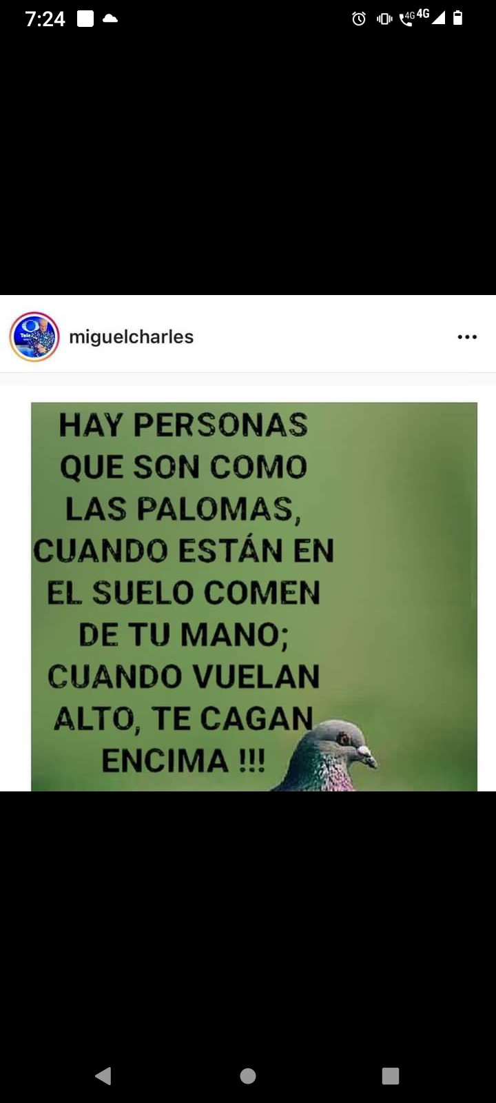 Ay personas q son como palomas