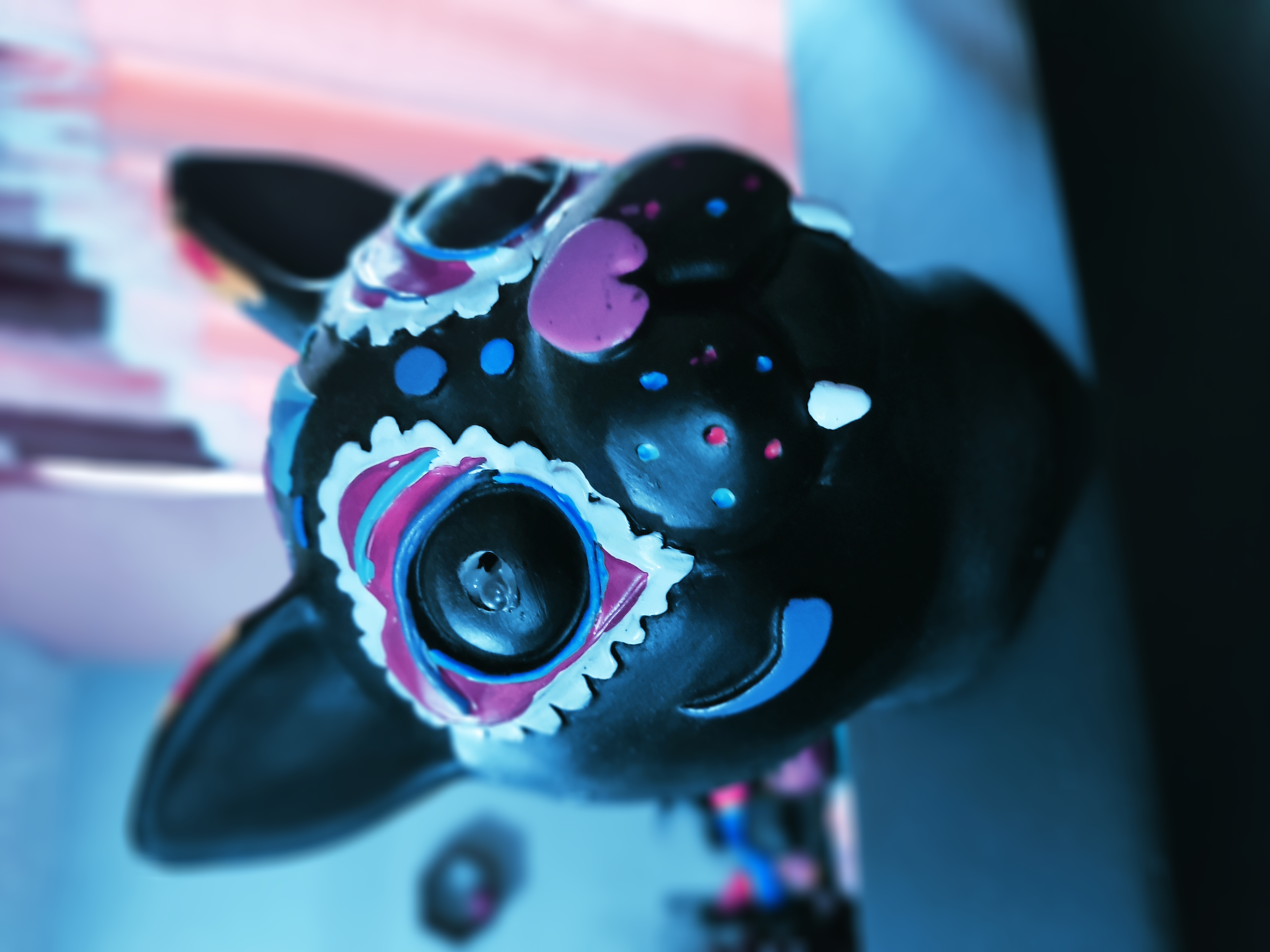 Gato folclórico