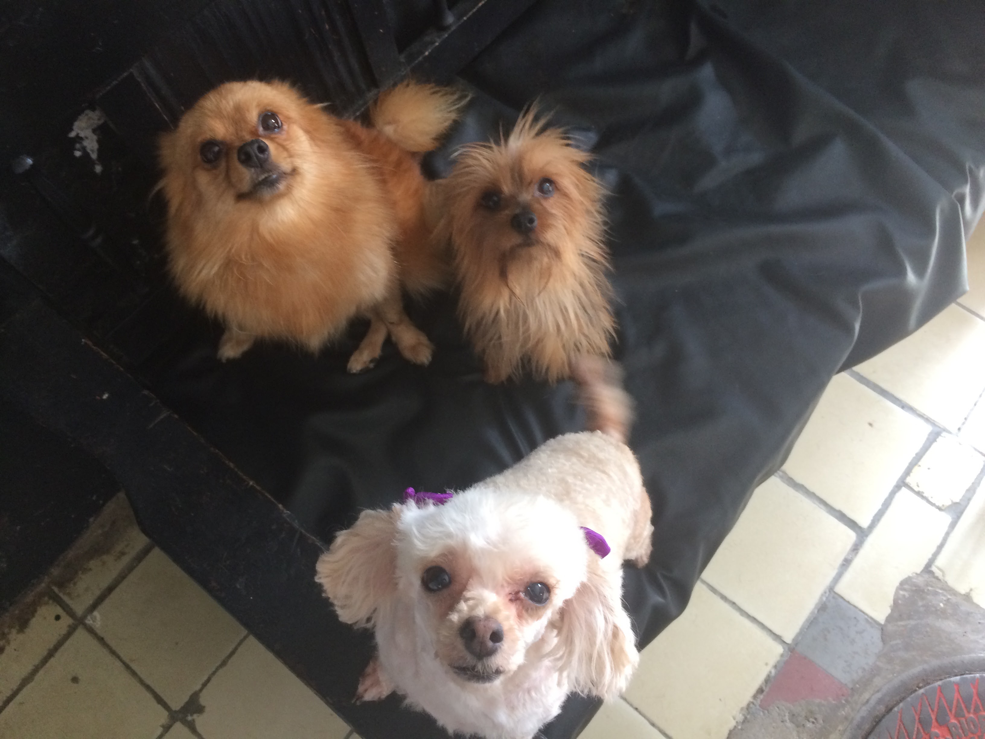 Chispita mya y muñeca